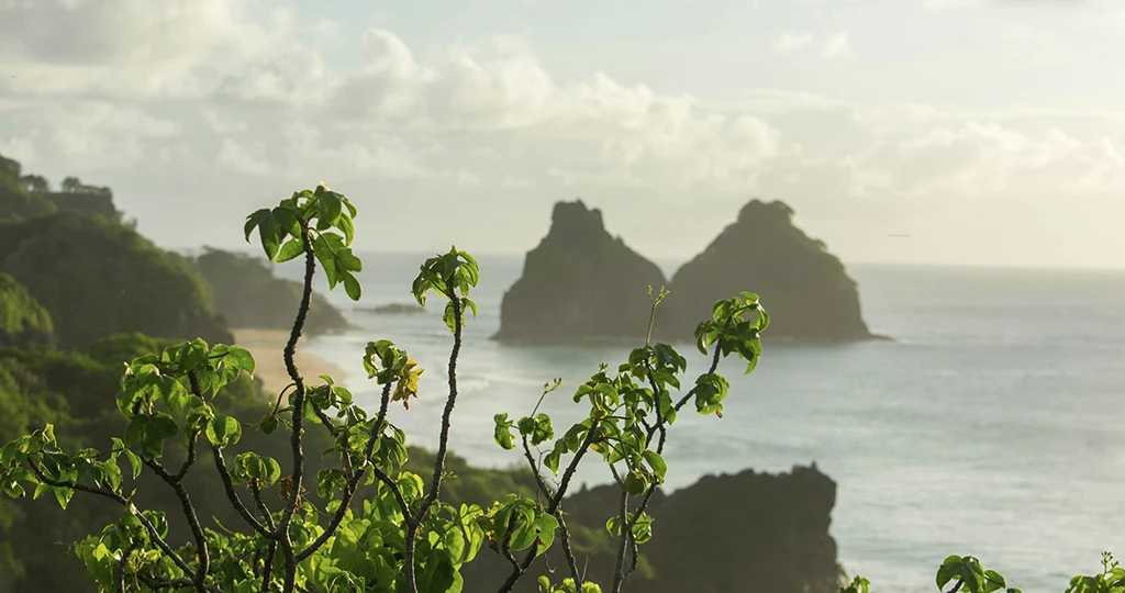 fernando-de-noronha-unsplash-24-lukas-souza-3Tb1tattXwE-unsplash